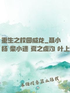 重生之校园威龙